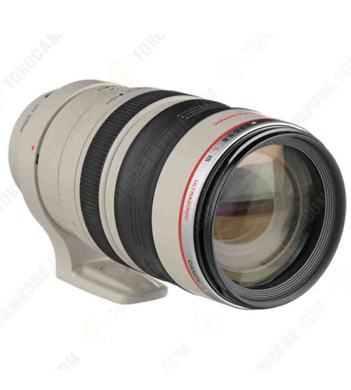 Canon EF 100-400mm f/4.5-5.6L IS USM